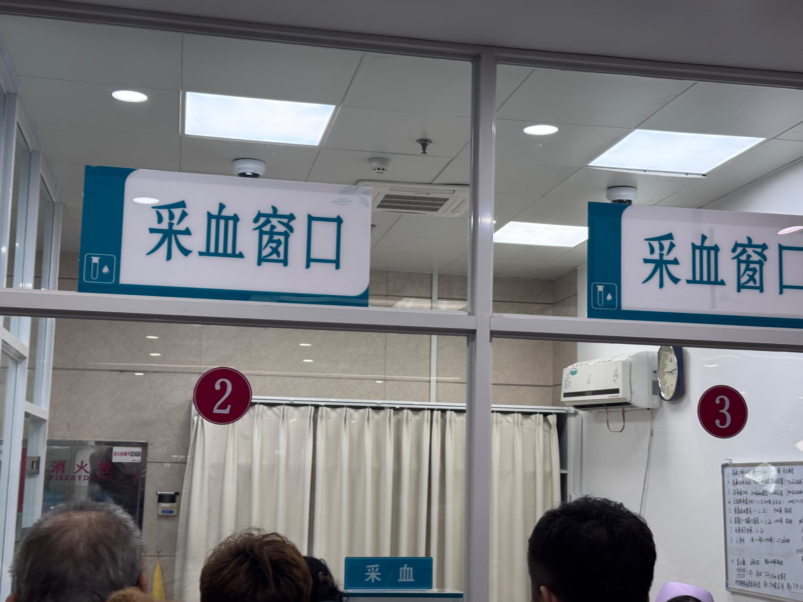 IMG_6960.jpeg