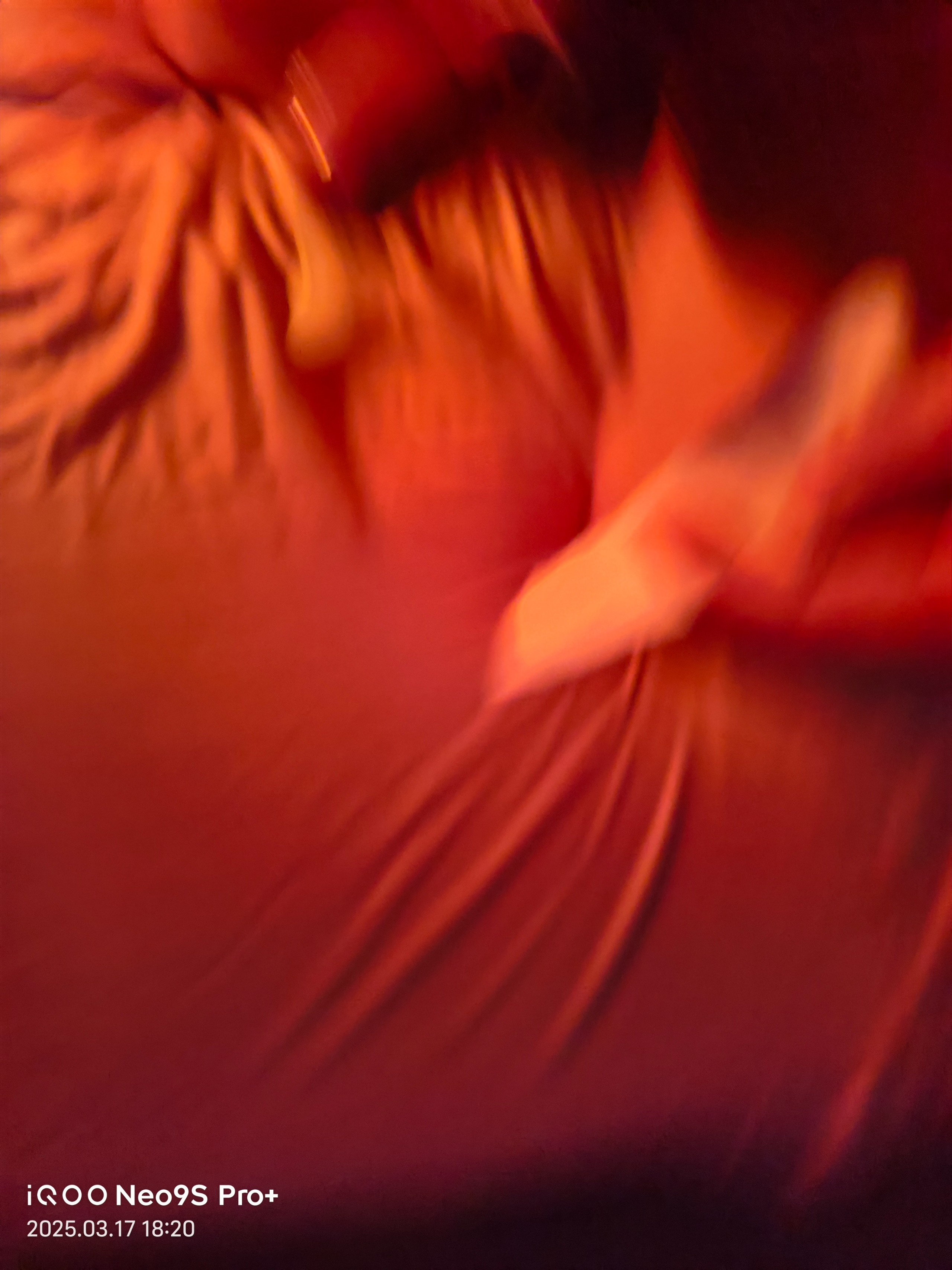 IMG_20250317_182015.jpg