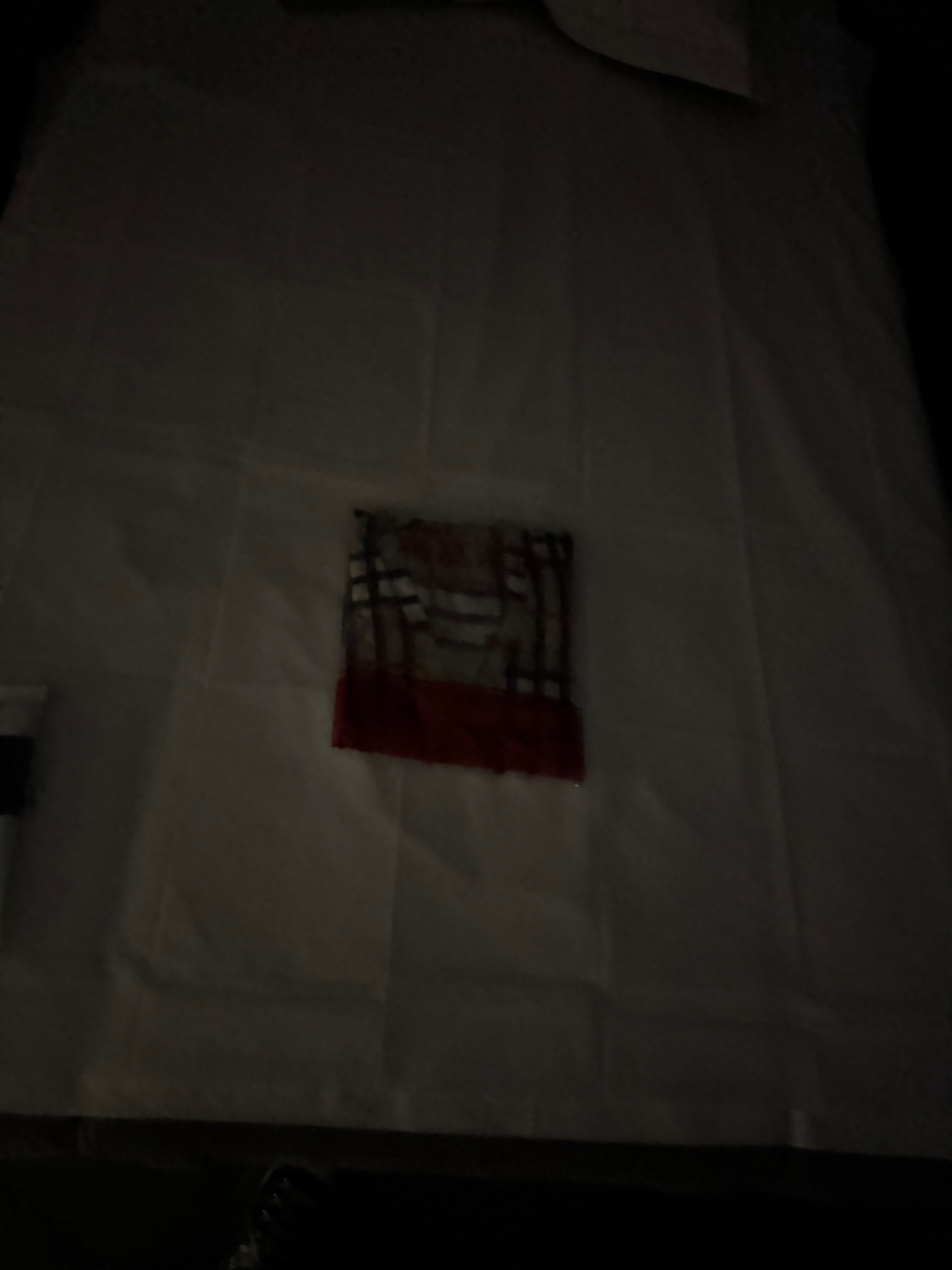 IMG_2917.jpeg