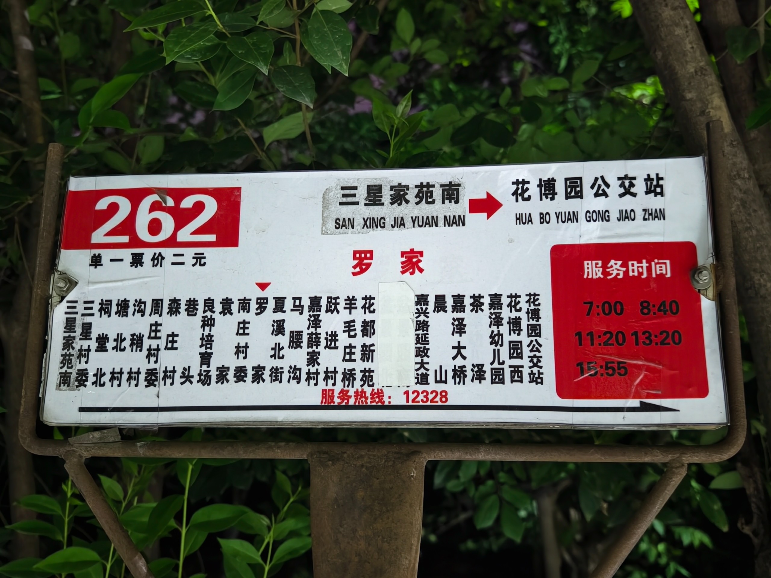 IMG_20250625_210041.jpg