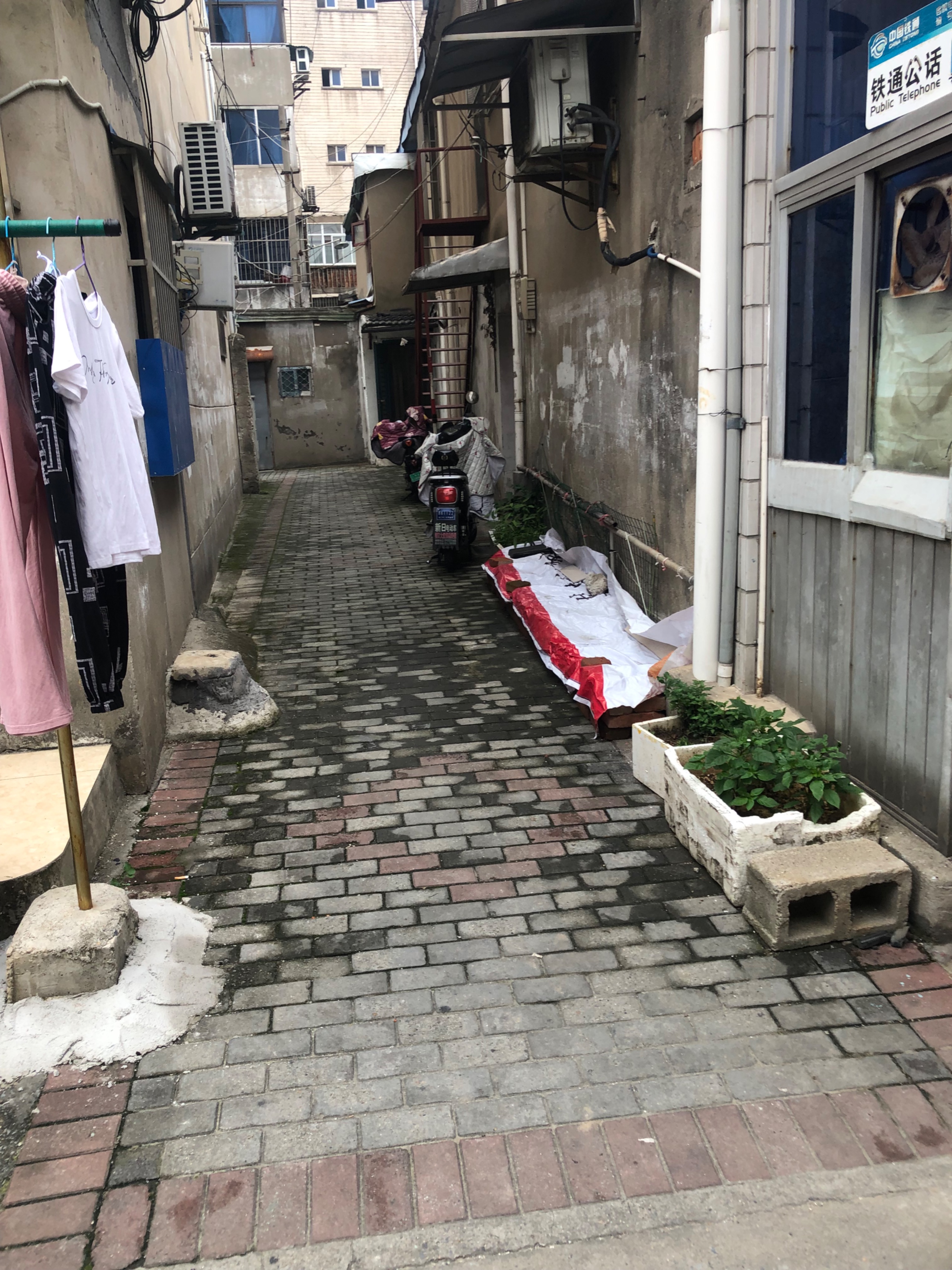 IMG_7537.jpeg