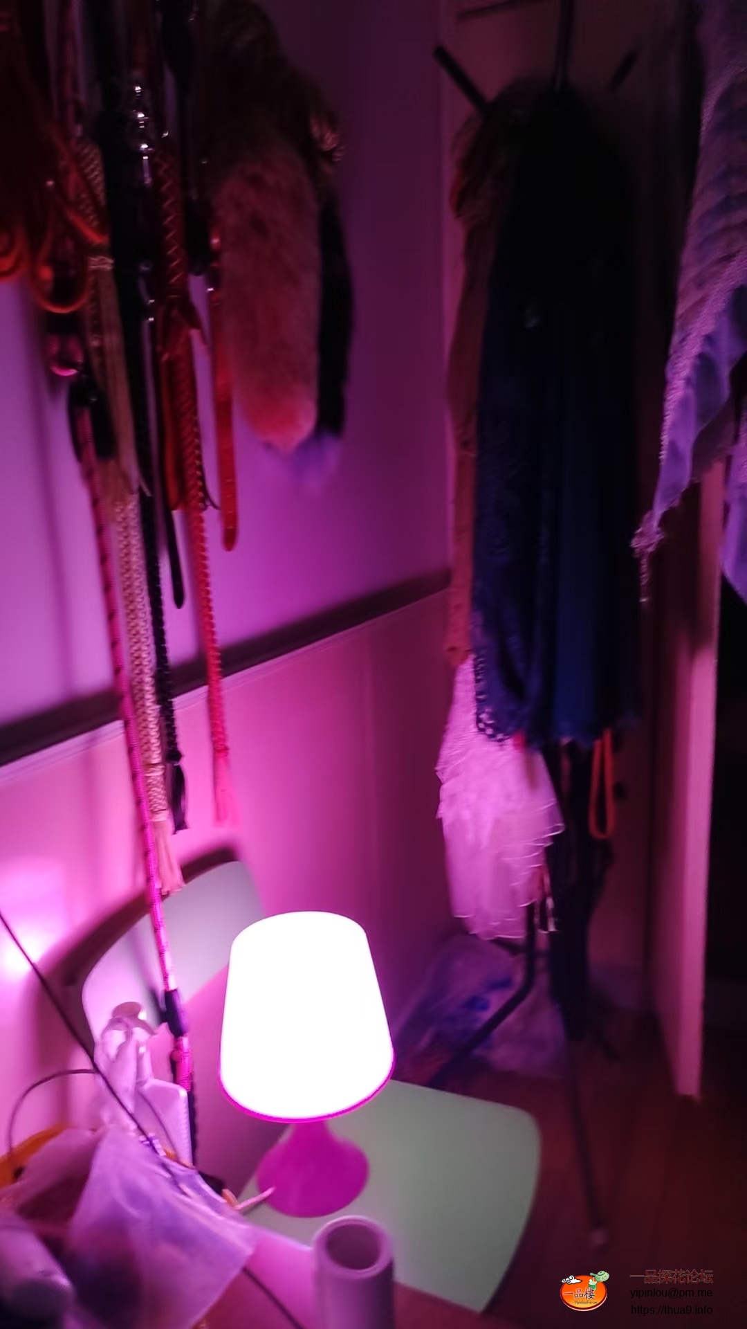 ae32efafa8cb6ca87803a892e73a5521.jpeg