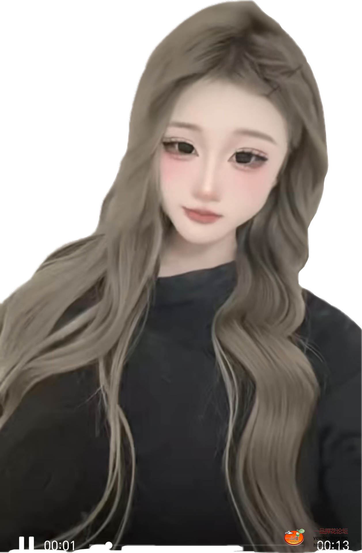 Segment_20250721_151738987.png