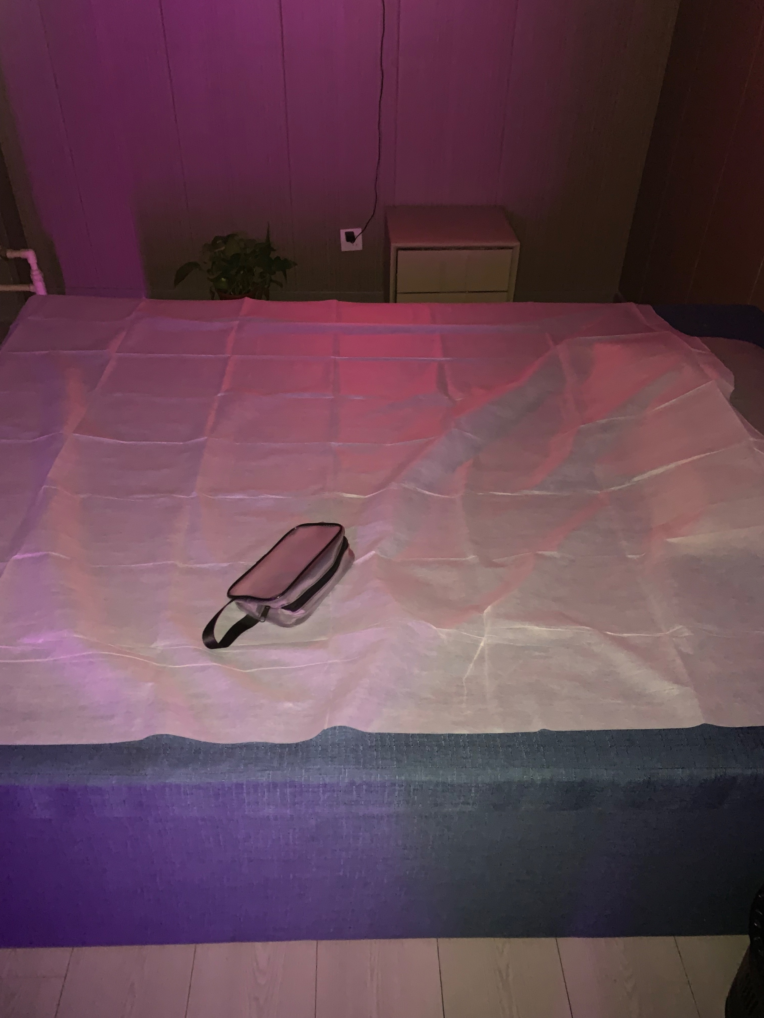 IMG_9816.jpeg
