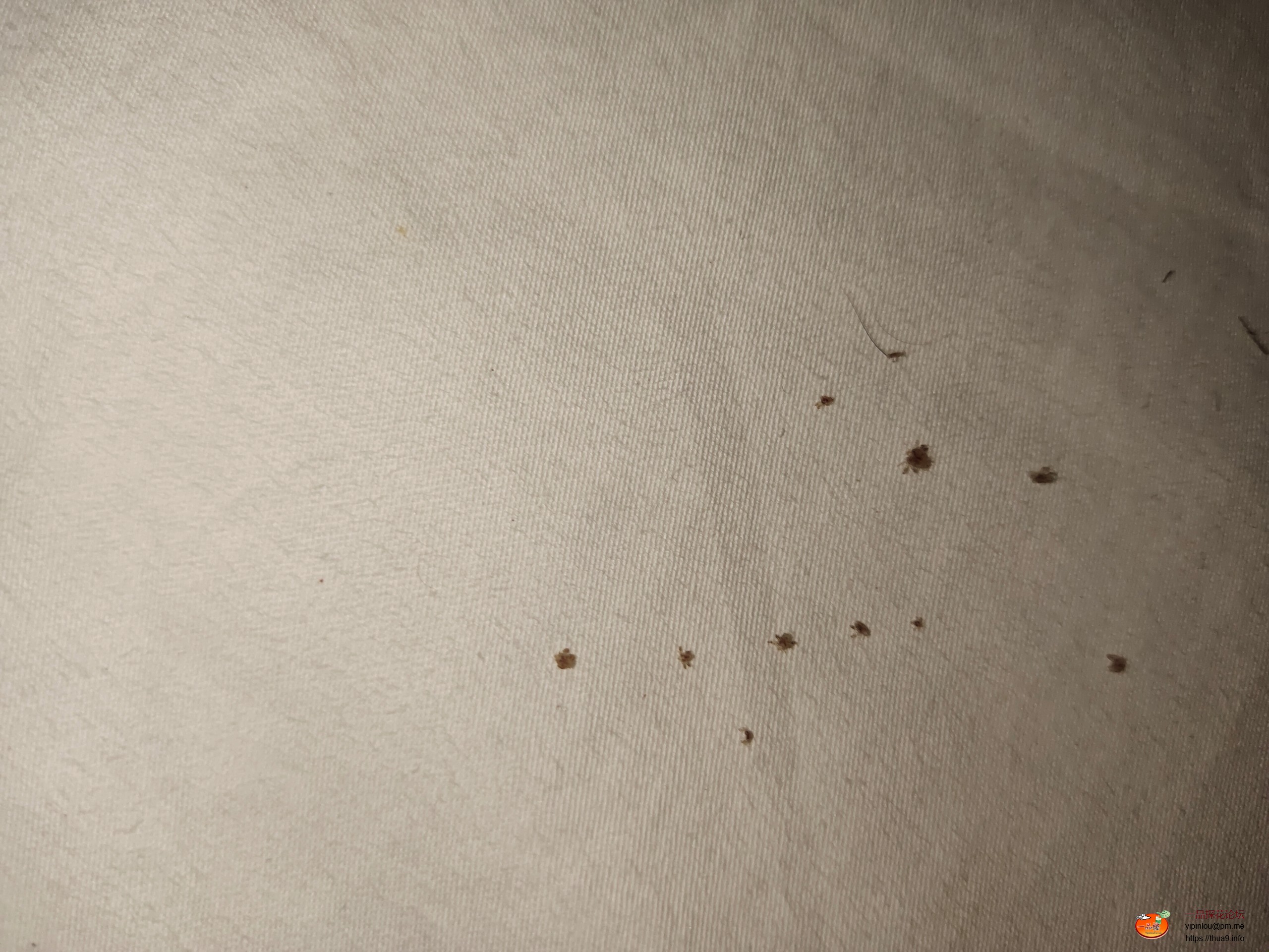 970588_RJYGA7SJAW4Y8GK.jpg