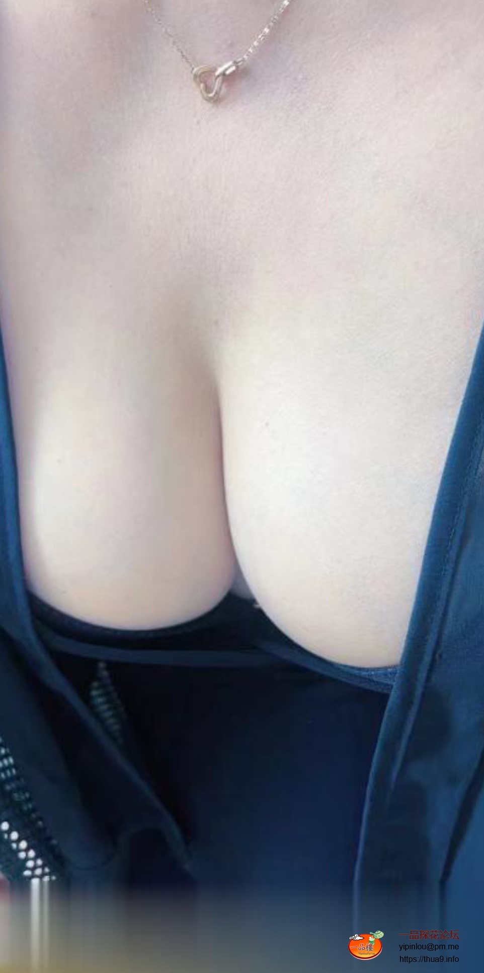 IMG_2656.jpeg