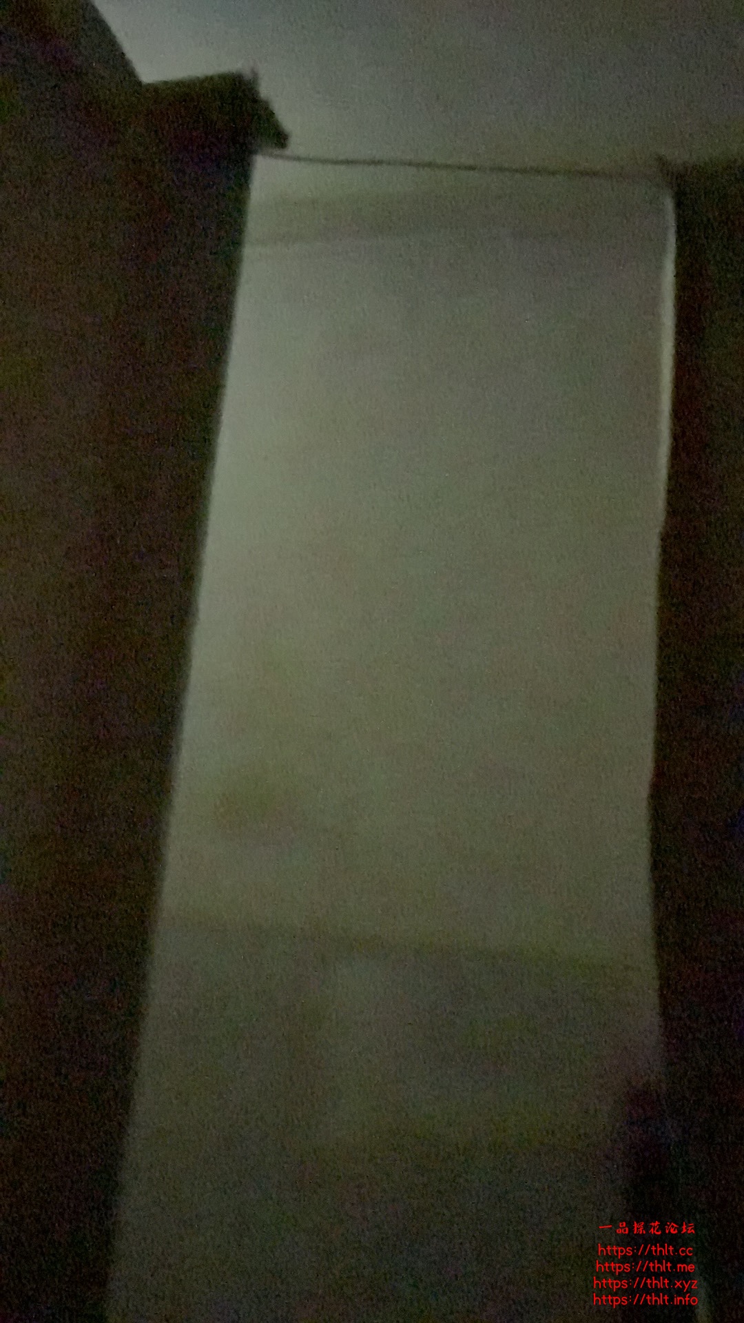 IMG_1442.jpeg
