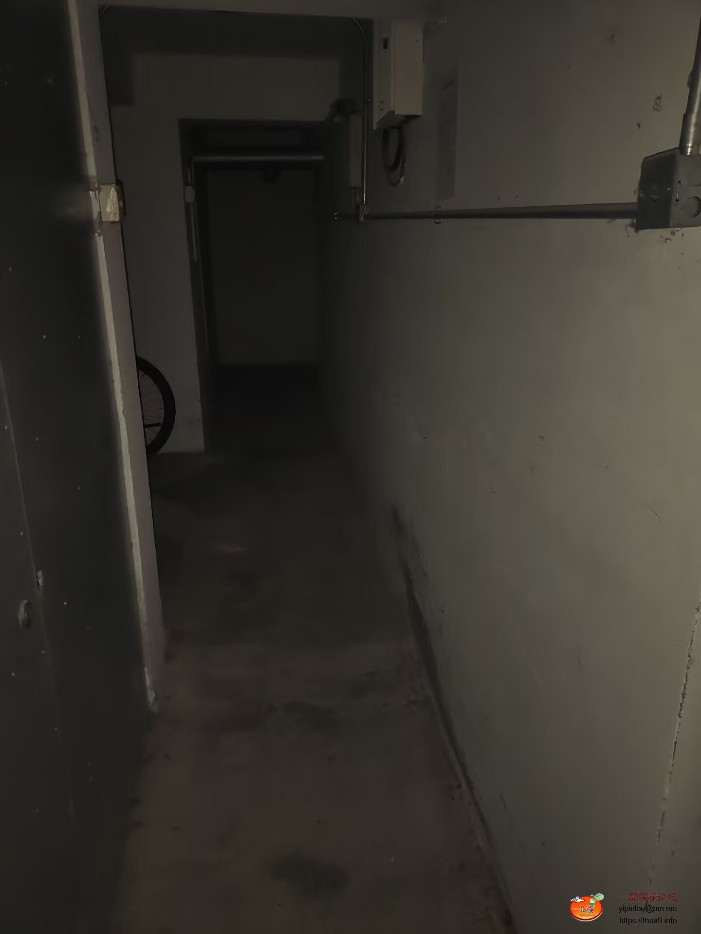 Image_1764578388383.jpg