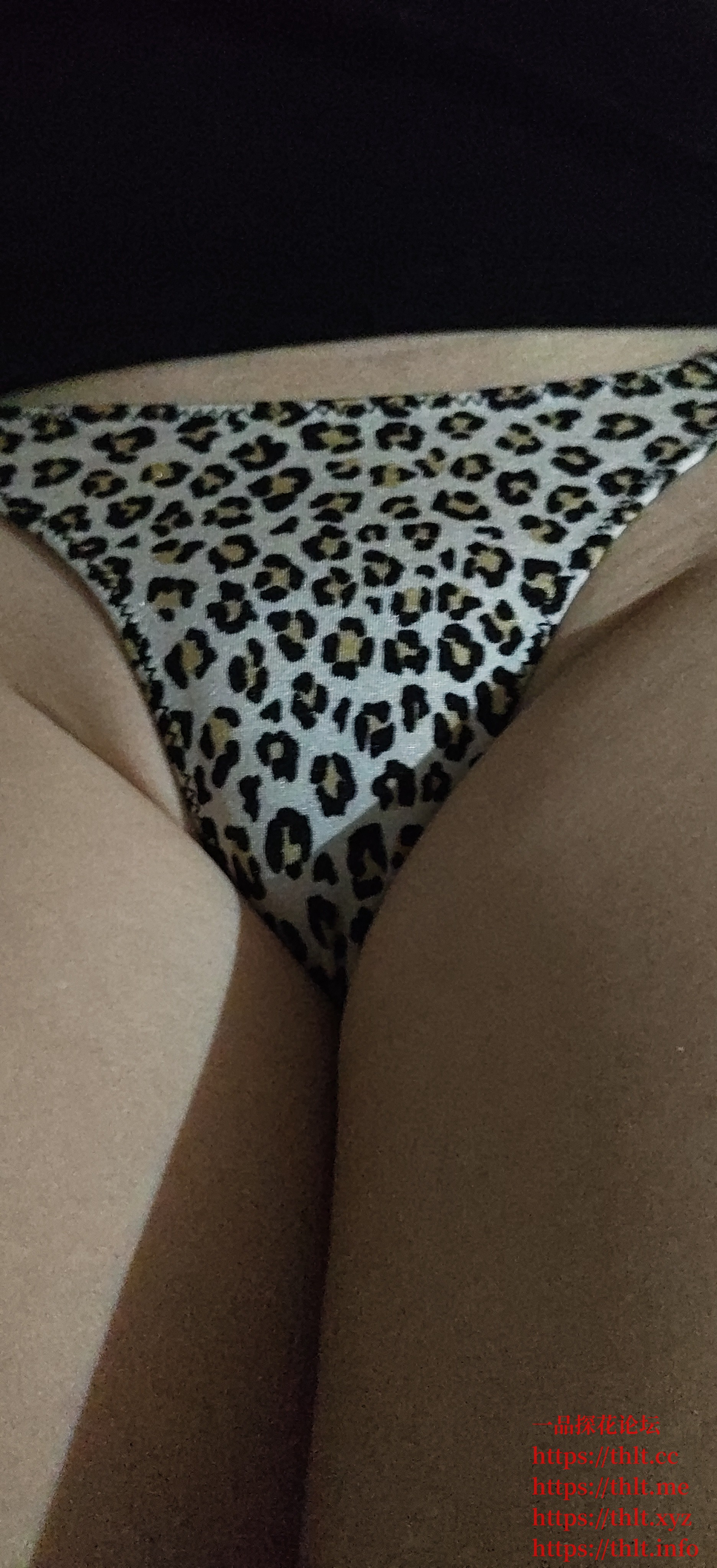2026-01-18_07.53.34.jpg