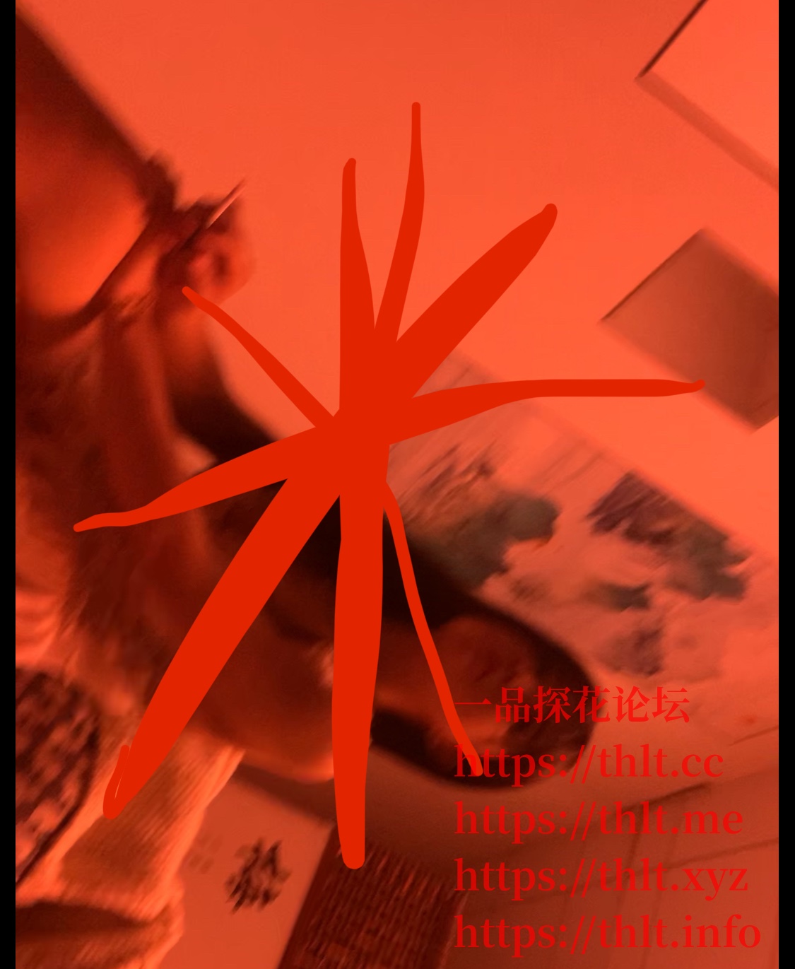IMG_2097.jpeg