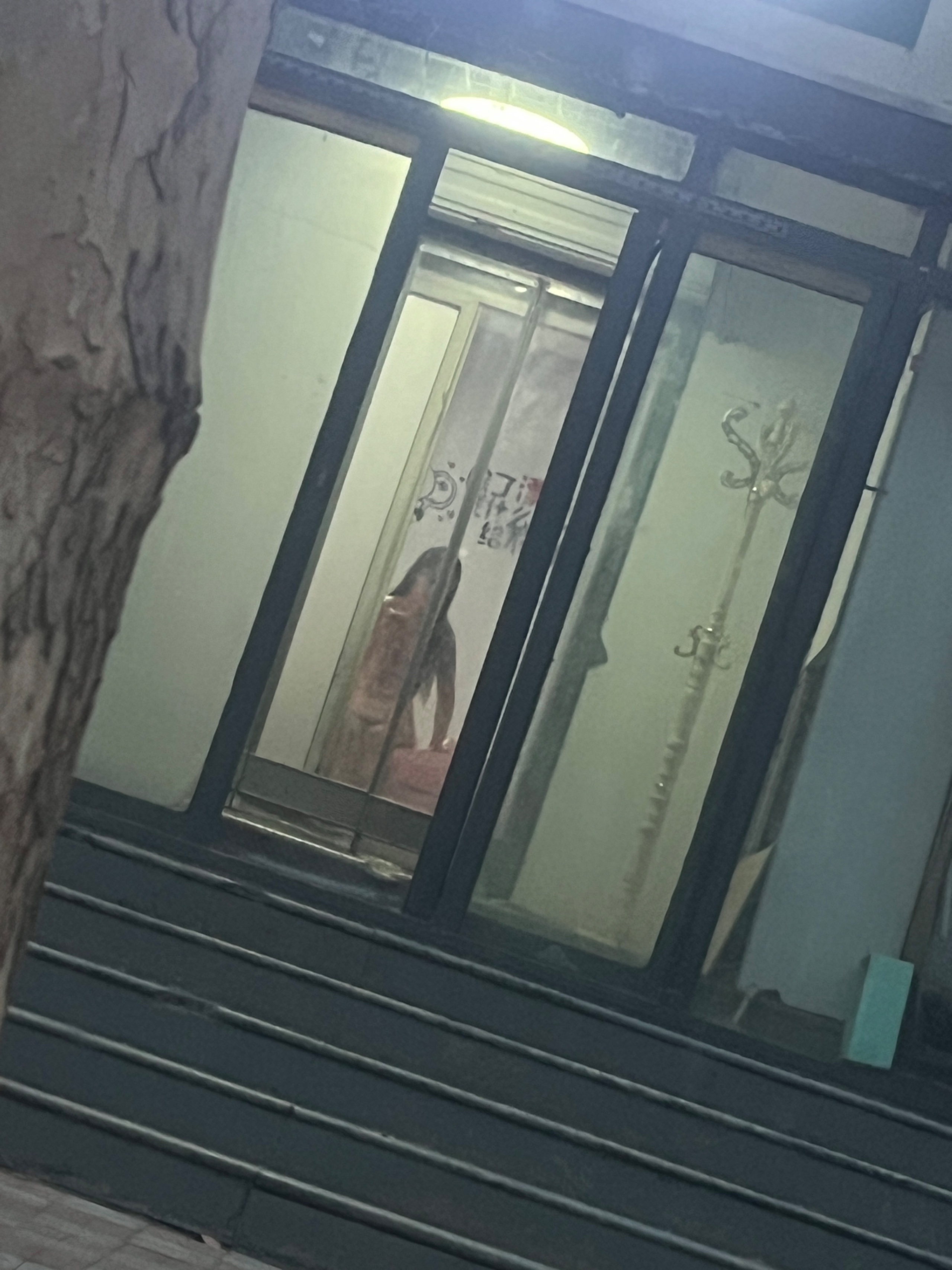 IMG_5664.jpeg