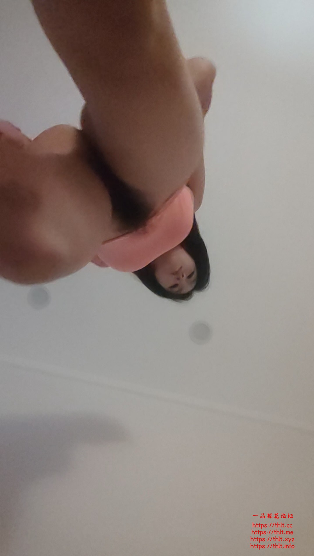 IMG_20260926_100957.jpg